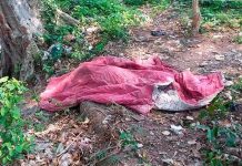 ¡Macabro! Cadáver de hondureña es encontrado desnudo y sin cabeza honduras