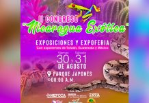 Realizarán el segundo congreso Nicaragua Exótica para promover el país nicaragua
