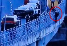 Chile: Mujer intenta suicidarse y policía la salva (VIDEO) chile