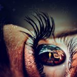 Día mundial del glaucoma, ¿De qué se trata esta enfermedad? salud