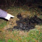 Mujer es encontrada quemada en cafetal de Alajuela, Costa Rica costa rica