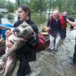 Reportan 2 muertos en Texas tras el paso de la tormenta tropical Imelda estados unidos