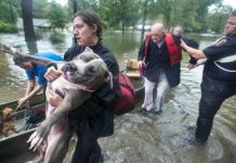 Reportan 2 muertos en Texas tras el paso de la tormenta tropical Imelda estados unidos
