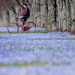 dia mundial de la bicicleta