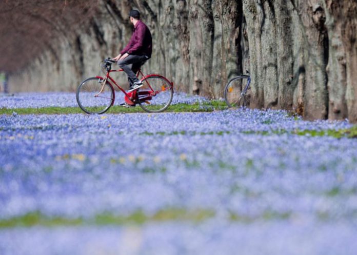 dia mundial de la bicicleta