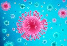 Intensifican medidas de prevención ante coronavirus en Nicaragua nicaragua