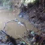 Encuentran cadáver supuestamente arrastrado por las fuertes lluvias en León nicaragua