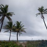 Tormenta  Alberto rumbo al Golfo de México tormenta