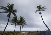 Tormenta Alberto rumbo al Golfo de México tormenta