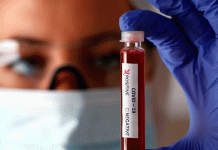 Confirman que coronavirus accedió a España en febrero por múltiples entradas espana