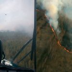 Arden bosques de la zona de exclusión de Chernóbil ucrania