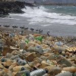 plasticos degradables