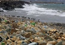 Estudio revela que plásticos degradables emiten gases de efecto invernadero plasticos degradables