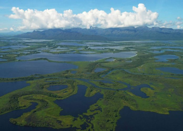 1_c3wNvBM 22 de marzo