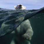 Descubren país que se está calentando dos veces más rápido que el resto canada