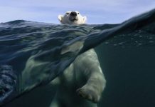 Descubren país que se está calentando dos veces más rápido que el resto canada