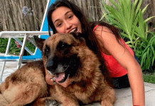 Perro desfigura la cara de un mordisco a una modelo (FOTOS) fotos