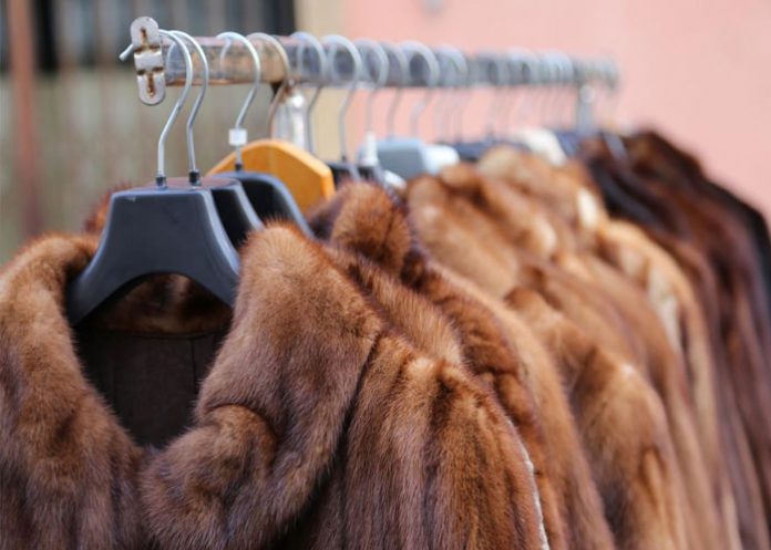 1_dOOvJjq estados unidos