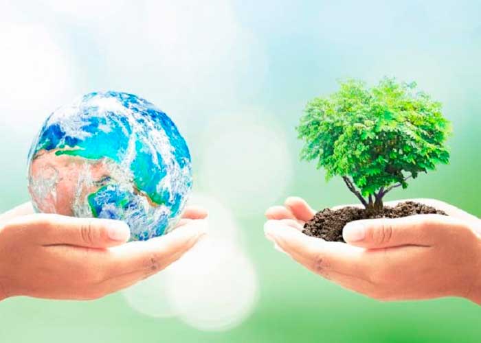 1_e1jSDzQ dia del arbol tendencia