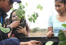 Ometepe: Jornada de reforestación en homenaje al General Sandino nicaragua