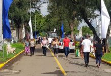 Nicaragüenses acuden a cementerios a enflorar a sus madres managua