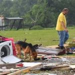 Siete fallecidos por paso de tornado en Estados Unidos estados unidos