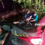 Árbol cae sobre un taxi y deja dos personas fallecidas en Managua nicaragua