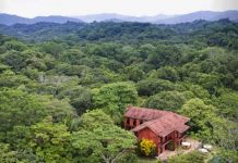 Hallan cadáver frente a finca de Mel Gibson en Costa Rica finca