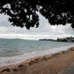 Alerta de tsunami retirada tras terremoto en Nueva Zelanda nueva zelanda