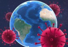 Biólogos confirman el origen del coronavirus ciencia