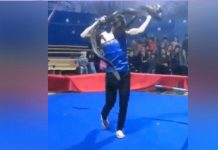 video viral