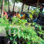 Matagalpa: Inauguran vivero en San Ramón donde se tendrán 50 mil plantas nicaragua
