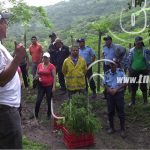 Autoridades impulsan campaña de reforestación en Boaco nicaragua