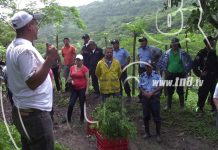 Autoridades impulsan campaña de reforestación en Boaco nicaragua