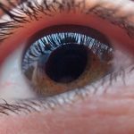 Implantes de retina que prometen dar una visión artificial a los ciegos ciencia