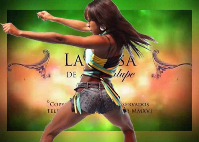 la rosa de guadalupe