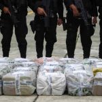 Ecuador: Incautan más de 430 kilos de cocaína en una avioneta ecuador