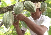 Nicaragua sale adelante con el buen corazón de su pueblo trabajador nicaragua