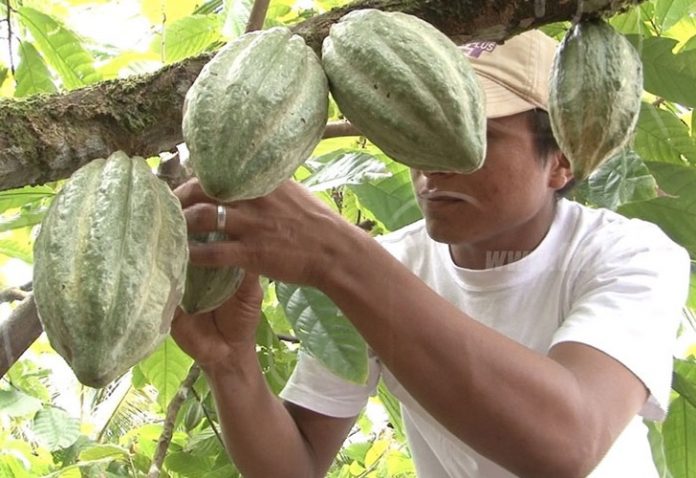 1f85f86f55f5667db6136daaf75071cd nicaragua