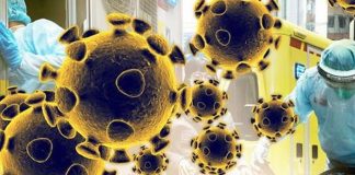 coronavirus