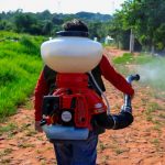 Muertes por dengue en Paraguay se elevan a 20 paraguay