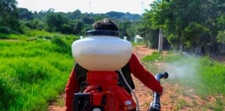 paraguay