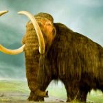 ¡Asombroso! El ADN más antiguo del mundo secuenciado en un mamut ciencia