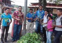 INAFOR realiza el lanzamiento de la cruzada municipal de reforestación inafor