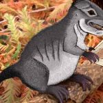 Descubren nueva especie ancestro de los mamíferos de 220 millones de años ciencia