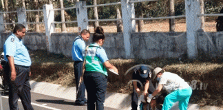 nicaragua
