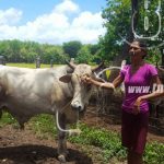 Nandaime: Bono productivo cambia la vida a mujer y su familia nicaragua