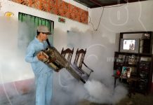 chikungunya