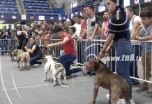 Polideportivo de Managua fue sede del Torneo Internacional Bully Mania 3 nicaragua