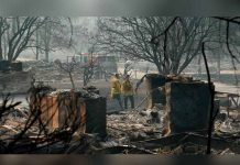 Santo Papa reza por afectados de incendios en California incendio